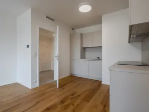 Pronájem bytu 2+kk, Praha - Strašnice, Ramonova, 59 m2