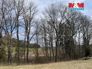 Prodej lesa, Košťálov - Kundratice, 11072 m2