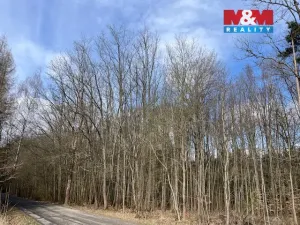 Prodej lesa, Košťálov - Kundratice, 11072 m2