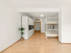 Prodej bytu 3+kk, Praha - Michle, U michelského mlýna, 180 m2
