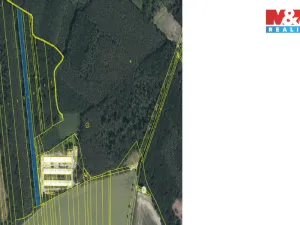 Prodej lesa, Městec Králové, 8906 m2