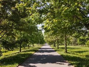 Prodej apartmánu, Hradec Králové, Pospíšilova, 95 m2