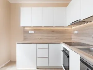 Prodej bytu 2+1, Opava, Černá, 43 m2