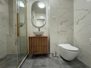 Pronájem bytu 1+1, Ostrava, Josefa Kotase, 37 m2