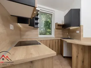 Pronájem bytu 1+1, Ostrava, Mařátkova, 46 m2