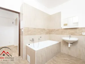 Pronájem bytu 1+1, Ostrava, Palackého, 45 m2