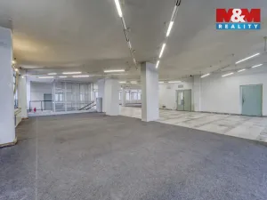Pronájem výrobních prostor, Plzeň - Severní Předměstí, alej Svobody, 641 m2