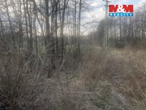 Prodej louky, Horní Suchá, 1524 m2