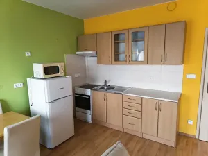 Pronájem bytu 1+kk, Zlín, Zelinova, 36 m2
