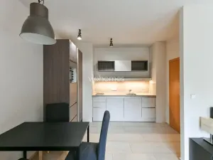 Pronájem bytu 1+1, Praha - Bubeneč, Mlýnská, 36 m2