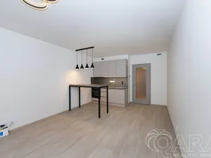 Prodej bytu 1+kk, Praha - Hloubětín, Poděbradská, 32 m2