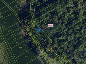 Dražba lesa, Přísnotice, 107 m2