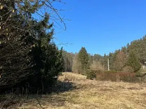 Prodej pozemku pro bydlení, Všelibice, 5083 m2