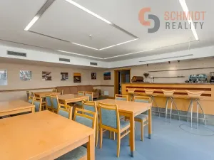 Prodej vícegeneračního domu, Brno, 576 m2