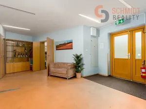 Prodej vícegeneračního domu, Brno, 576 m2