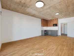 Pronájem bytu 1+kk, Plzeň, Kamenická, 34 m2