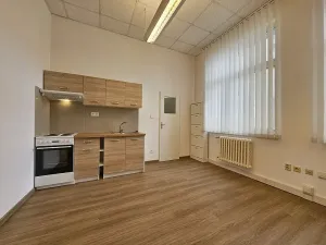 Pronájem bytu 1+kk, Brno, Čechyňská, 25 m2