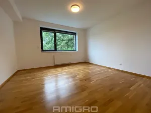Pronájem bytu 3+kk, Brno, Preslova, 104 m2