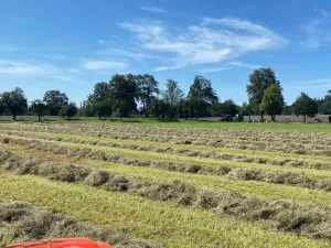 Prodej komerční, Pluhův Žďár - Jižná, 28792 m2