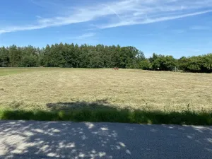 Prodej komerční, Pluhův Žďár - Jižná, 28792 m2