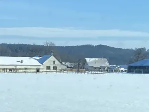 Prodej komerční, Pluhův Žďár - Jižná, 28792 m2