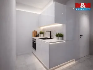 Pronájem bytu 1+kk, České Budějovice - České Budějovice 3, Rudolfovská tř., 23 m2