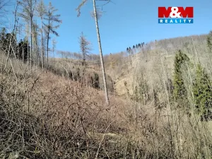 Prodej pozemku, Pstruží, 12588 m2