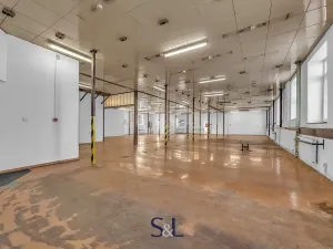 Prodej výrobních prostor, Nový Bor, Sklářská, 6477 m2