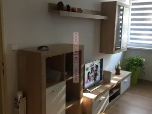 Prodej bytu 1+1, Ostrava, Přemyslovců, 35 m2