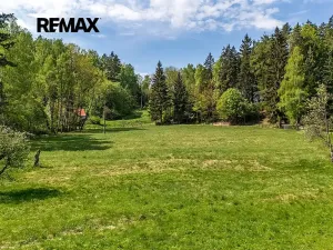 Prodej louky, Cvikov, 5335 m2