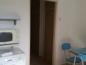 Pronájem bytu 2+1, Olomouc, Kaštanová, 61 m2