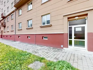 Prodej atypického bytu, Brno, Bayerova, 122 m2