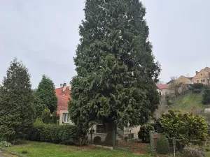 Prodej chaty, Liblín, 46 m2