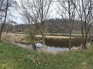 Prodej chaty, Liblín, 46 m2