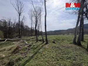 Prodej louky, Cvikov - Trávník, 545 m2