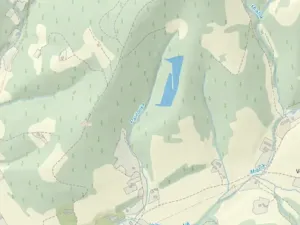 Dražba lesa, Morávka, 57384 m2