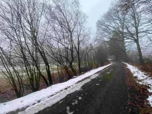 Dražba pole, Mrákotín, 2398 m2