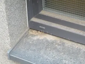 Dražba rodinného domu, Týnec nad Labem, Hradská, 10 m2