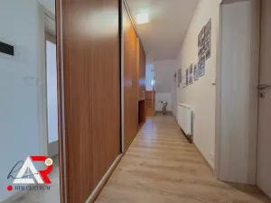 Prodej rodinného domu, Velešovice, 451 m2