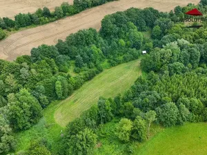 Prodej rybníku, Petrov, 7803 m2