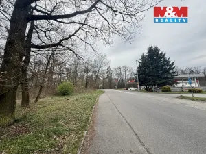 Prodej lesa, Býšť, 3807 m2