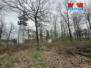 Prodej lesa, Býšť, 3807 m2