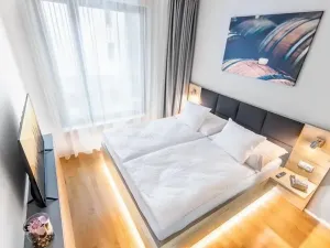 Pronájem bytu 2+kk, Praha - Žižkov, U Viktorie, 68 m2