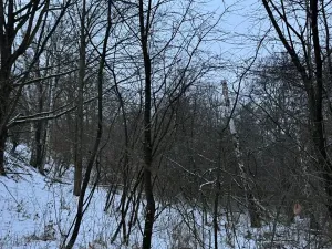 Prodej lesa, Kralupy nad Vltavou, 20392 m2