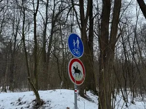 Prodej lesa, Kralupy nad Vltavou, 20392 m2