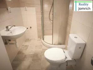 Pronájem bytu 1+1, Liberec, Česká, 55 m2