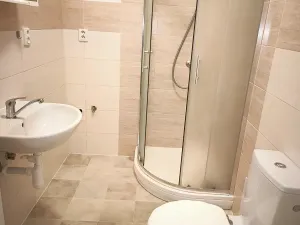 Pronájem bytu 1+1, Liberec, Česká, 55 m2