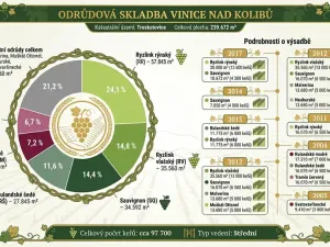 Prodej sadu/vinice, Troskotovice, 243931 m2
