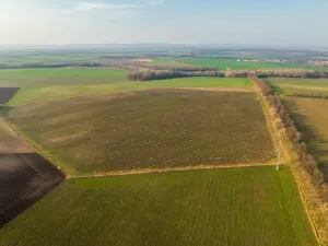 Prodej sadu/vinice, Troskotovice, 243931 m2