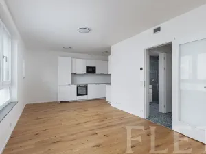 Pronájem bytu 1+kk, Praha - Radlice, U Komína, 38 m2